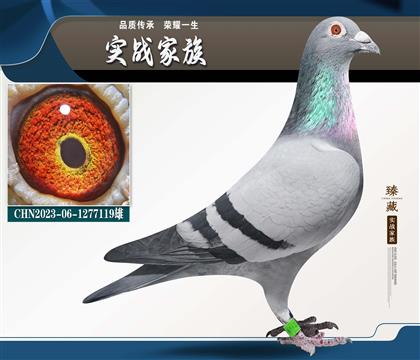 ��ѷɸ�С���� 57��