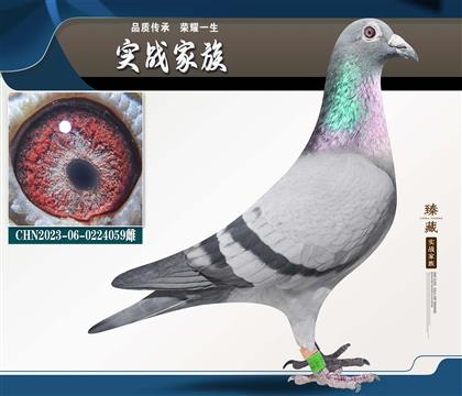 ���ȡ��ɸ곬�١�����