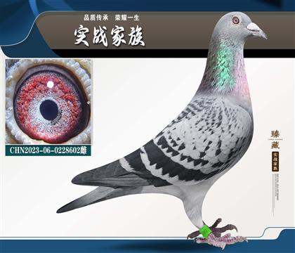 ����վ���� �����ϲ��� 7�� ֱŮ