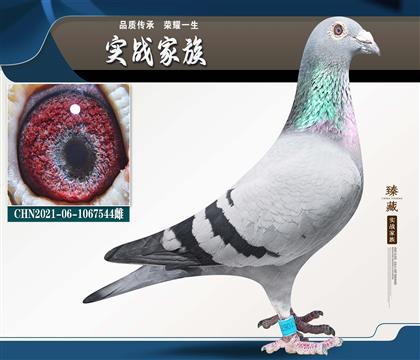 ���ǲ��ˡ����ض���