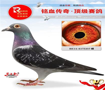 �Ϳɹ���������ԭ��