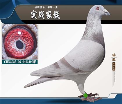 �˵�����˹740X����