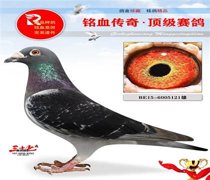 �Ϳ�ֱ��ھ�����