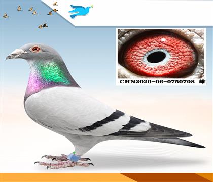 ��Դ�﹫��5��