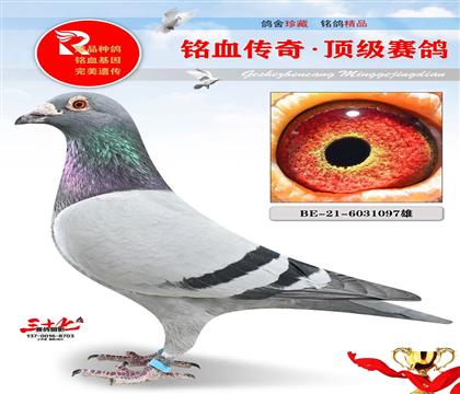 С500������Ǻ����ϱ���