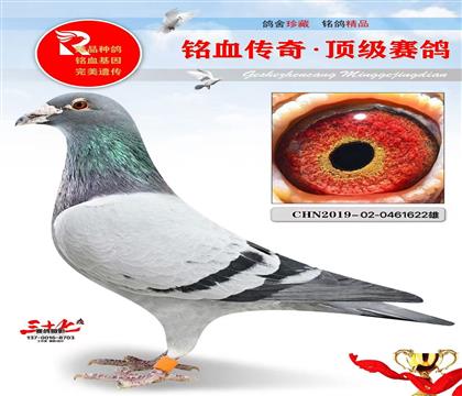 5��9������