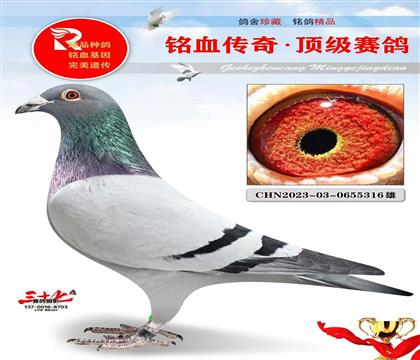 �·��䡢��������