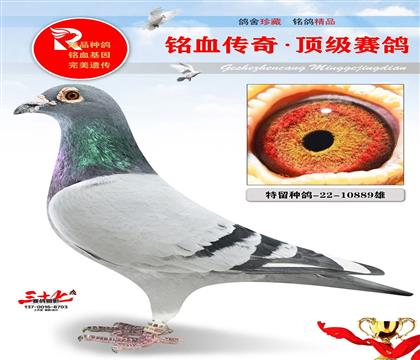 ̨����þ�����Ʒɣ��ʿ