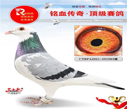 ̨�����¡�ɣ��ʿ