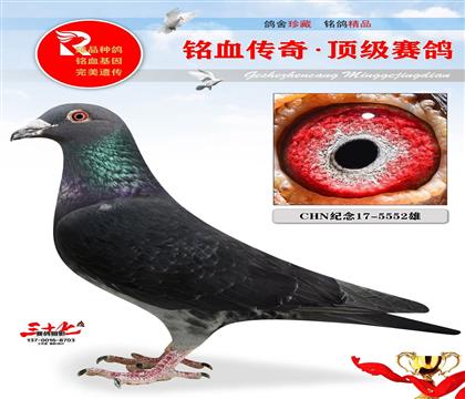 �����λ���ס�������