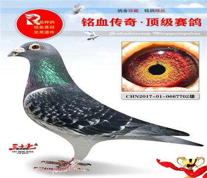 �Ǿ����ס�Ұ��Ů������ֱ��