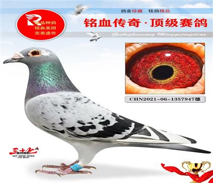 ��õ��ٰ���