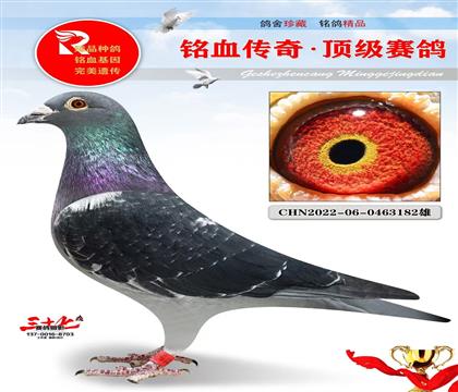 �ھ�Ӣ��˹��Ұ��Ů��