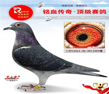 Ұ��Ů����Ѫֱ��