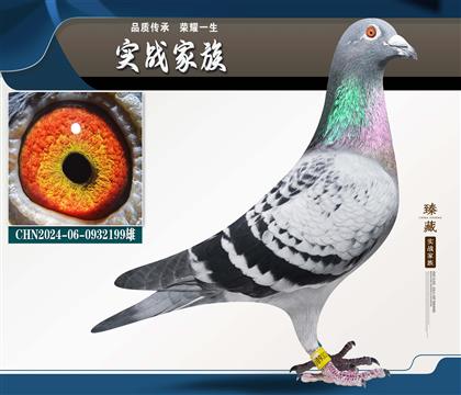 ����ϵ-��ƿ� 55��