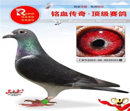 Ұ����������������ھ�