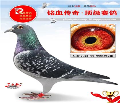 �ھ�Ӣ��˹��Ұ��Ů��