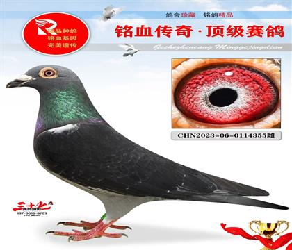 Ұ��������Ұ��Ů��