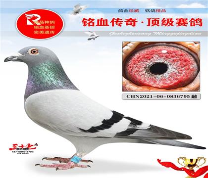 Ҽ�ſ����ˡ��ǳ��Ƽ�