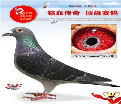 Ұ���������ֱ��