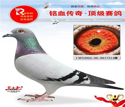 �����������ر��