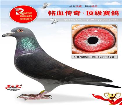 Ұ��������Ұ��Ů��