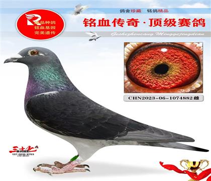 �Ϳ�ֱ��Ϳ�ֱ��Ů