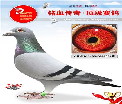 �ھ�Ӣ��˹��Ѫ���ǳ���