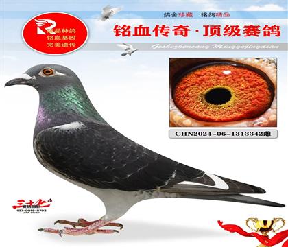 Ұ��Ů��ֱ�ӡ�ֱŮ