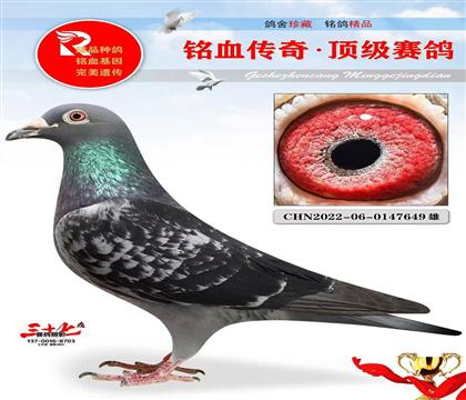 �����¡�