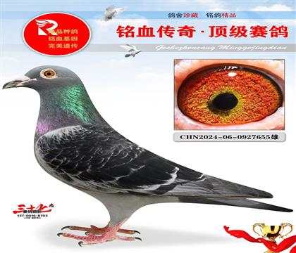 Ұ��������Ұ��Ů��