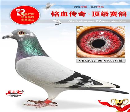 ��õ�Ӣ��˹