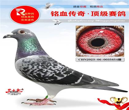 �ھ�Ӣ��˹��Ұ��Ů��