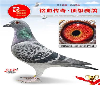 Ұ��Ů��ֱ�ӡ�ֱŮ