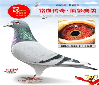 �����롰1162��