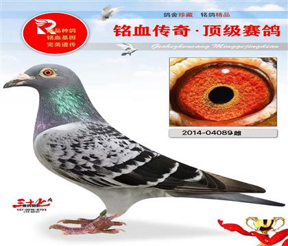 ����9��ĸ�ס���������134��