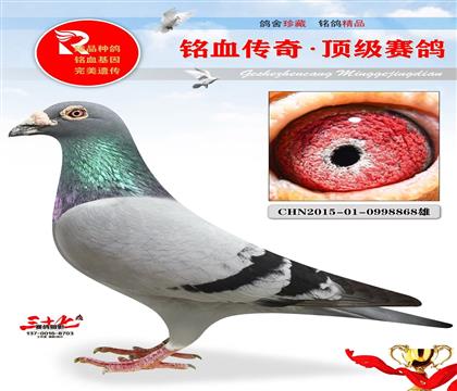 ���ǡ����Ρ�ֱ��