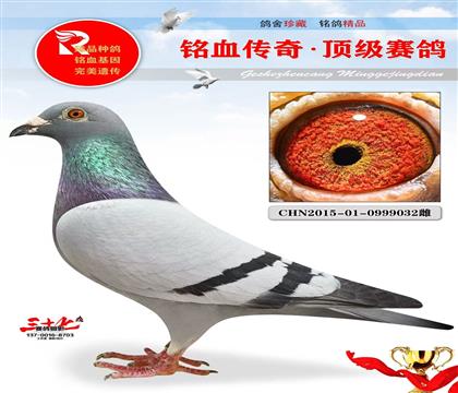 ����1491ֱŮ������13��ĸ��