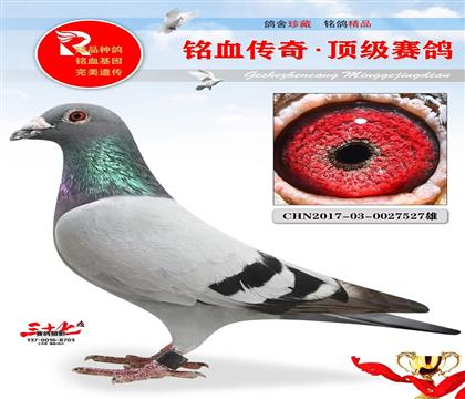 ����1491ֱ���������ɼ�