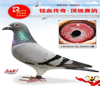 ����13����1491ֱ��Ů