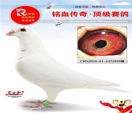 ���ǰ״�866ֱ��