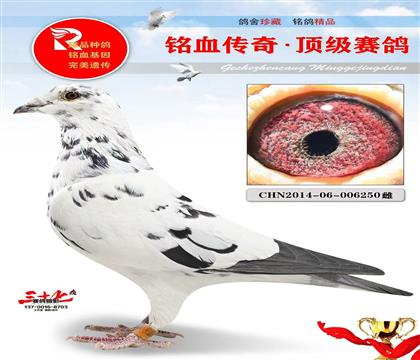 �ƽ𺣰�83������ĸ