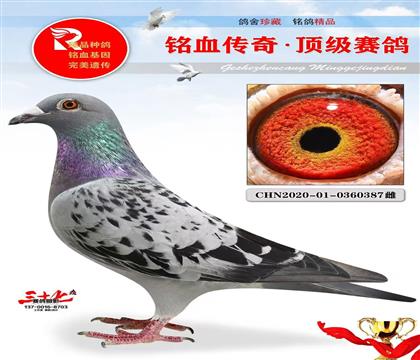 ���ǡ�Ħ��˹��ֱŮ