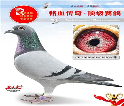 �����Ǳȡ���������