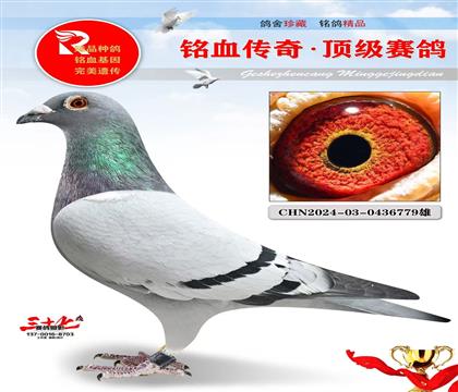 ���ǿ��վ���58��