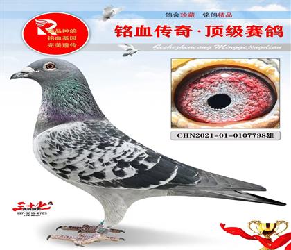 ����ԭ�����������ǿ���