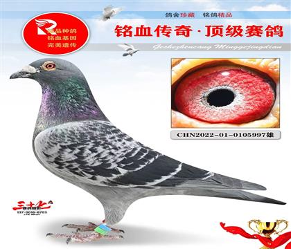 Ҽ�۹���5��ƽ�������ǿ�������