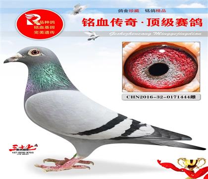 ����ԭ������444