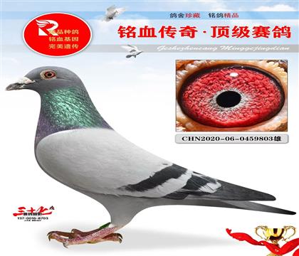 1491ֱ�ӡ�����ֱŮ