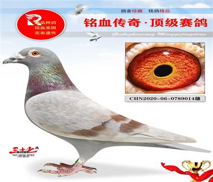 ���������������ֱ��